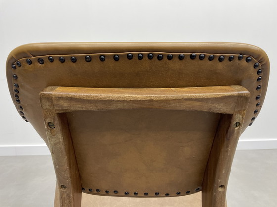 Image 1 of Louis van Teeffelen für das Wébé Penguin Restoration Project