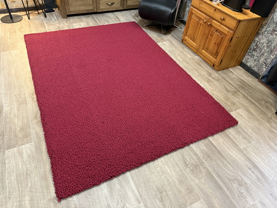 Image 1 of Bucles de Brink y Campman