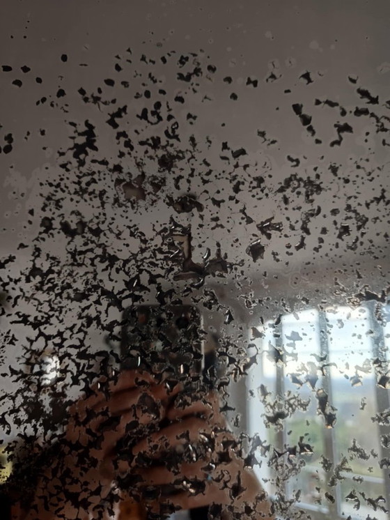 Image 1 of Specchio neogotico in rovere intagliato, circa 1940