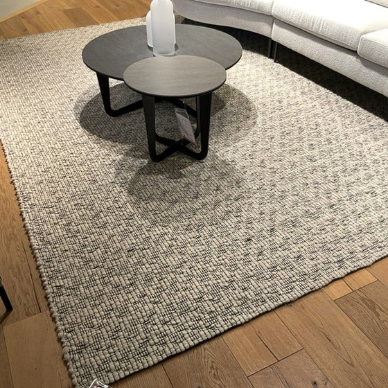Image 1 of The Munk Forza rug - 250x350