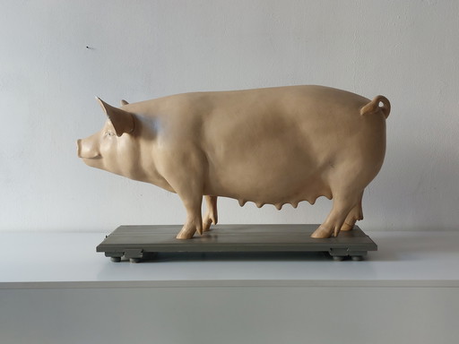 Antique anatomical teaching model of a pig, Louis Meusel, Sonneberg