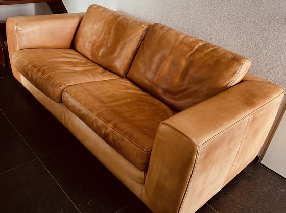 Image 1 of Banco de tweets Molinari ruime