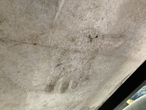 Image 1 of Table basse Paul Kingma 1966