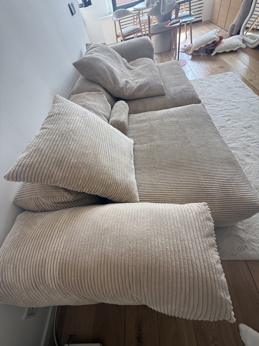 Vetsak Couch Cord Velour Sand in einwandfreiem Zustand
