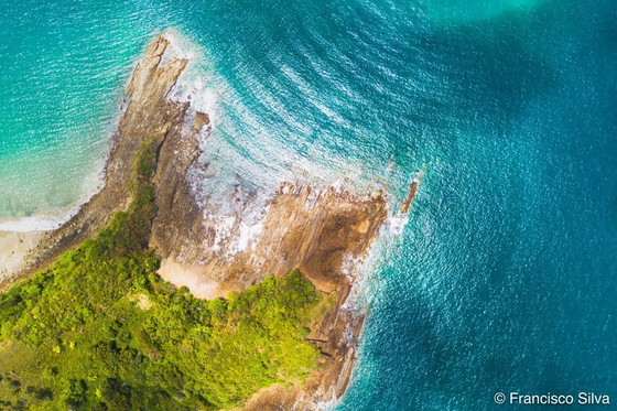 Image 1 of O Salinas #4