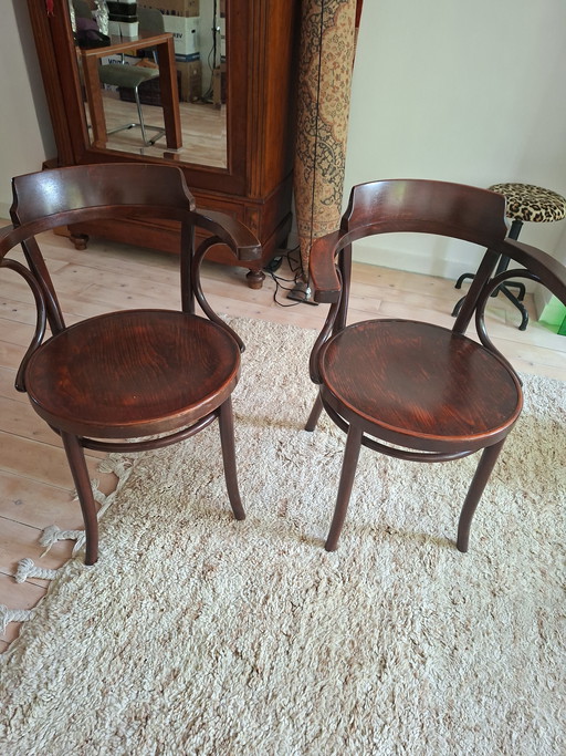 2 preciosas sillas de comedor Thonet.