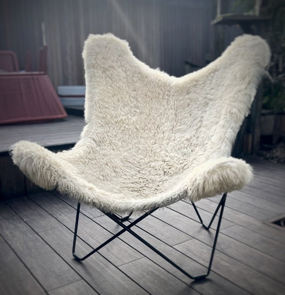 Image 1 of Silla Cuero Mariposa. Piel de carnero.