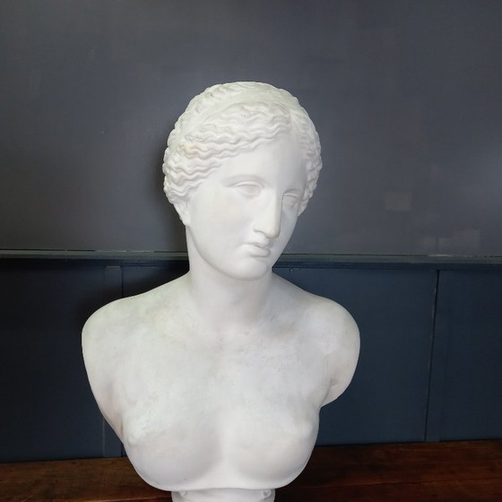 Image 1 of Busto excepcionalmente grande de tamaño natural de la Venus de Milo, busto grande de yeso
