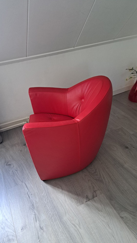 Image 1 of Leolux Carabita