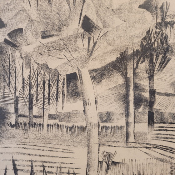 Image 1 of Dibujo A Carboncillo Sobre Papel “Bosque”, Joan Granados Llimona, 1977- España