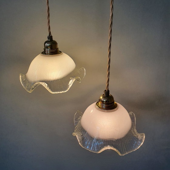 Set di 2 lampade a sospensione vintage in vetro bianco satinato, forma floreale, texture – Metal (photo 3 of 23)