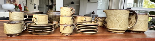 68-Delig Vintage Servies Van Suisse Langenthal (Savanna Sahara)