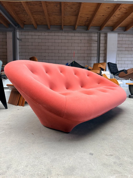 Image 1 of Ligne Roset Ploum 2-Sitzer-Sofa von R. & E. Bouroullec