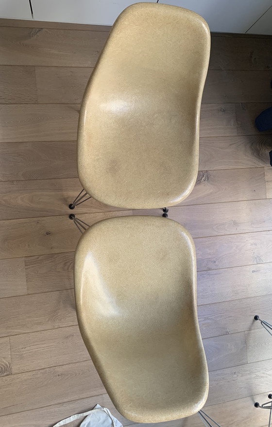 Image 1 of 2 chaises d'appoint Eames Miller DSR en fibre de verre – parchemin foncé