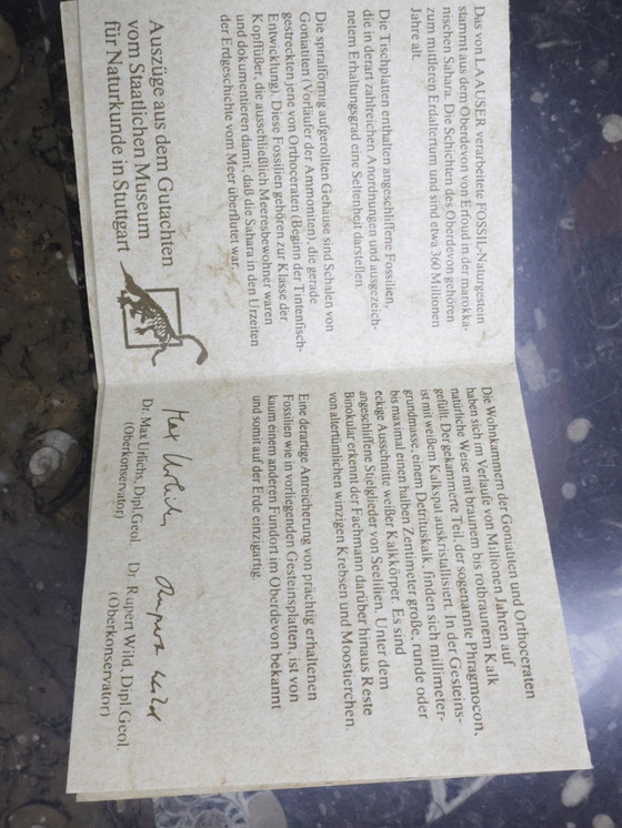 Image 1 of Vintage coffee table Laauser Natural stone fossil