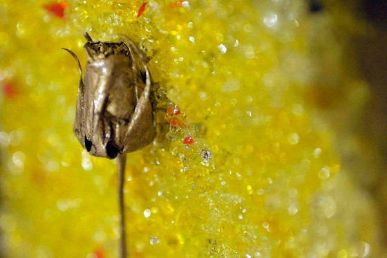 Image 1 of Materialarbeit, signiert von Vincenzo Marega 1