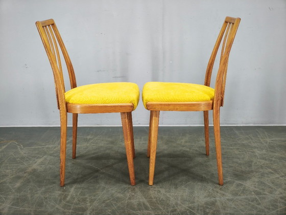 Image 1 of Ensemble de 4 chaises de salle à manger TON en hêtre, style Mid-Century, Tchécoslovaquie, années 1970