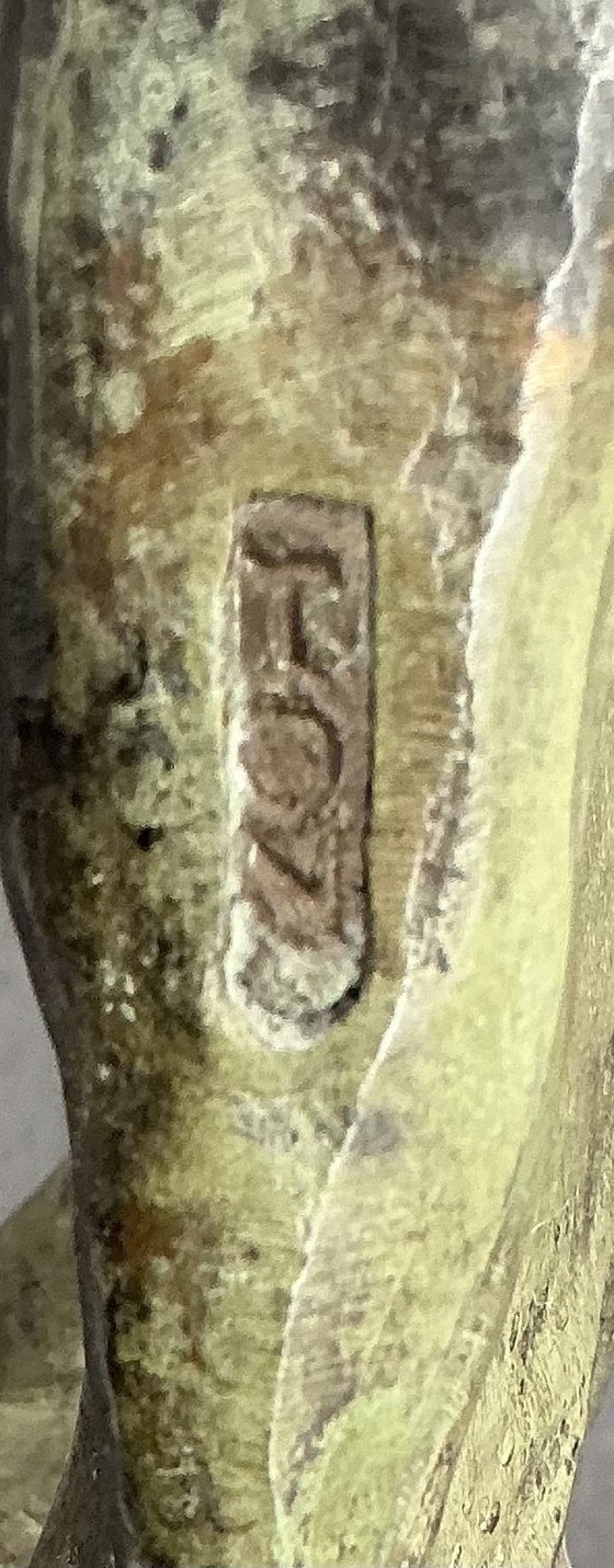 Image 1 of Homme torse