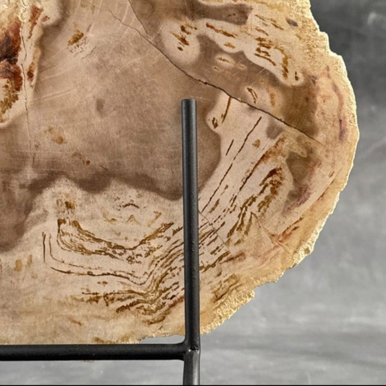 Image 1 of Madera fosilizada de Sooka, soporte hecho a medida (nuevo)