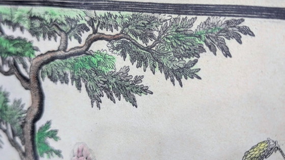 19th century. Antique colored copper engraving L’Âge d’Argent – ​​framed – Paintings & Drawings, Paper (photo 8 of 11)