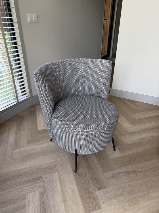Image 1 of Sedia Bolero Mobitec