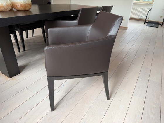 Design Chairs, Potocco Italy (6 Pieces) – Dining chairs, Wood, Leather (photo 2 of 5)