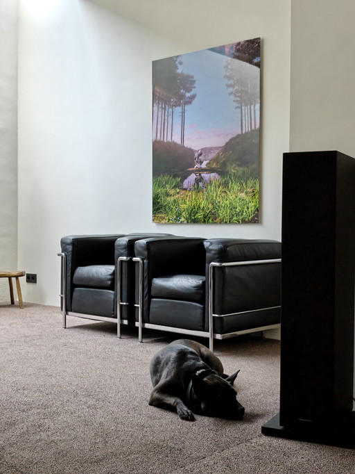 2x Cassina LC2