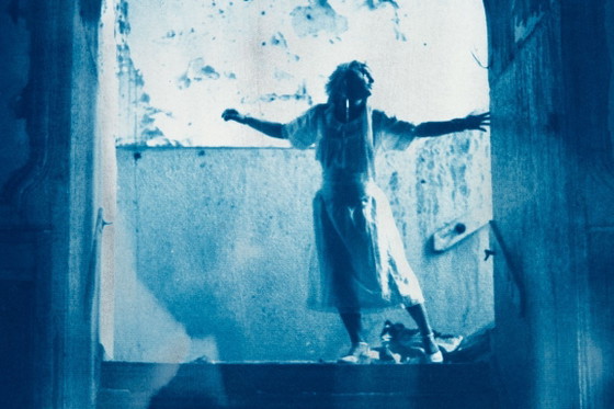 Wondering, Original Photography 1976 / Cyanotype 2026, Paper, Blue (photo 2 of 7)