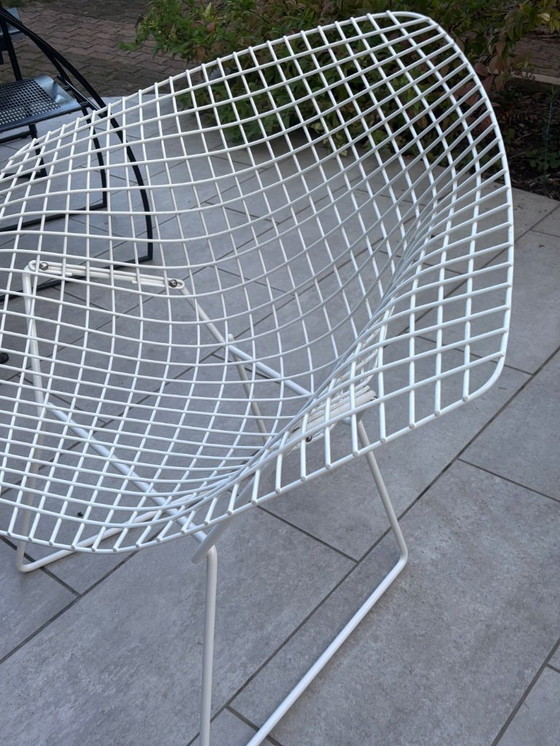 Image 1 of Bertoia Diamond Knoll vintage white armchairs - iconic design