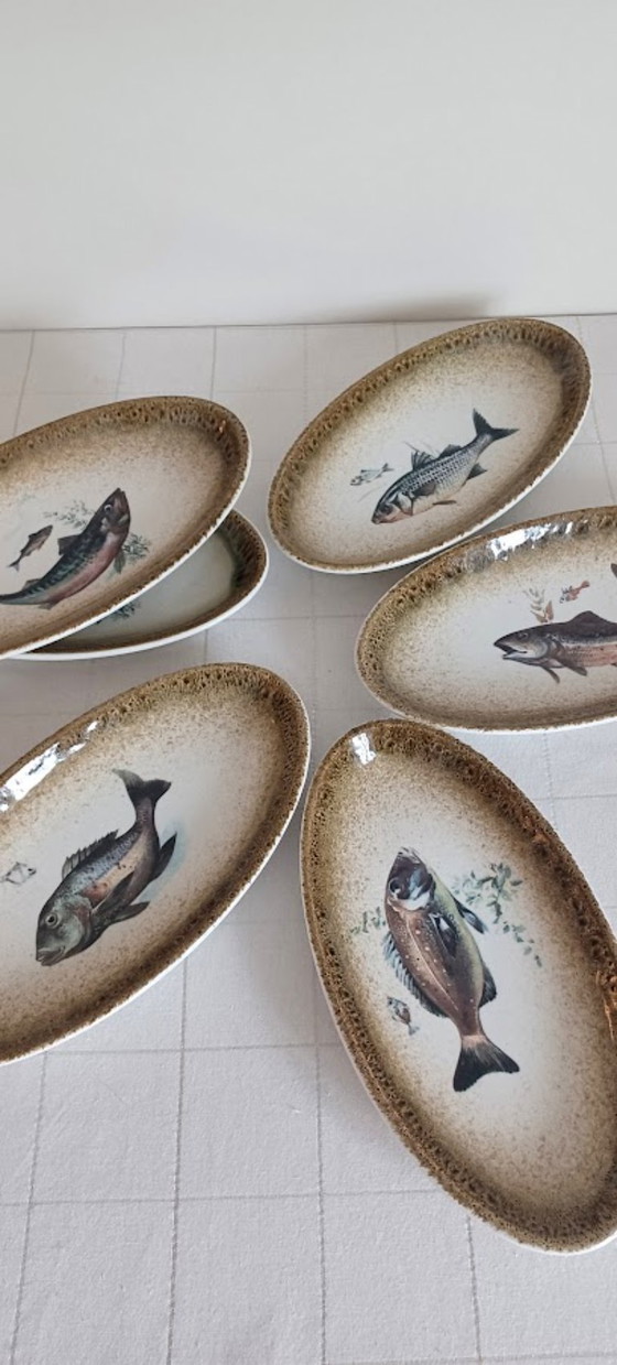 Image 1 of Cerámica V.A.R.M. - Italia, años 90 - 6 platos ovalados decorados a mano - motivo de peces
