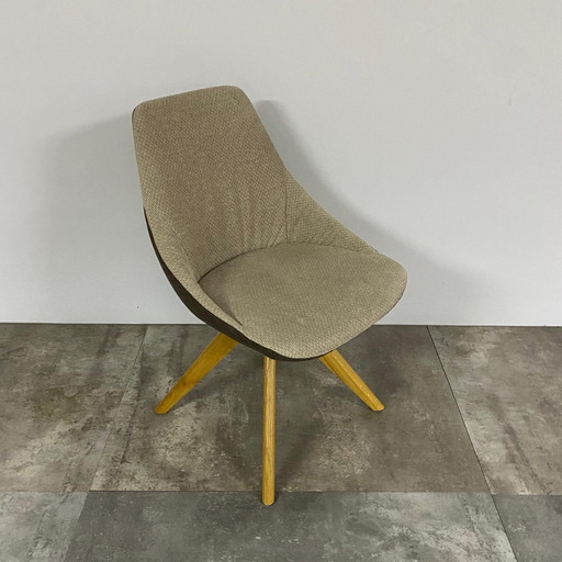 Maple timber  Set van 4