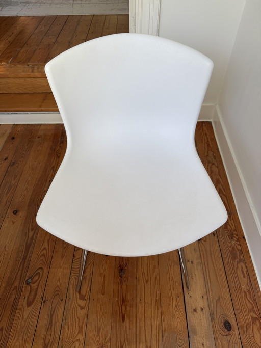 6 Sillas laterales Knoll Bertoia con estructura moldeada