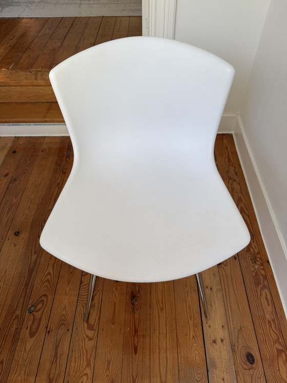 Image 1 of 6 Sillas laterales Knoll Bertoia con estructura moldeada