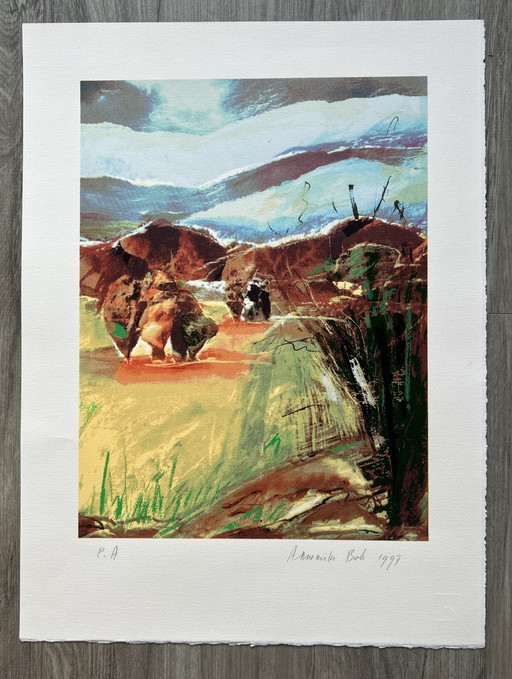 Screen print Annemiki Bok