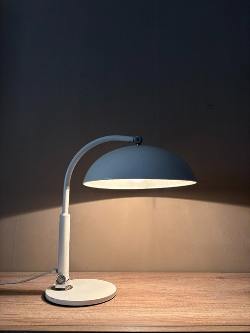 Hala Zeist 144 Desk Lamp