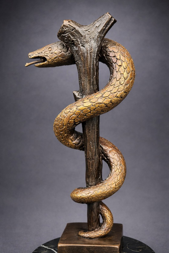 Image 1 of Bronzen Asclepius