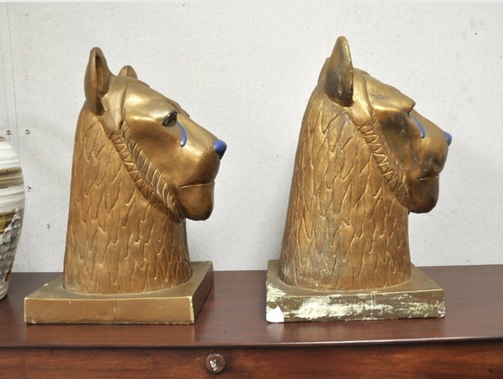 Image 1 of Teste di tigre egiziane d'epoca.