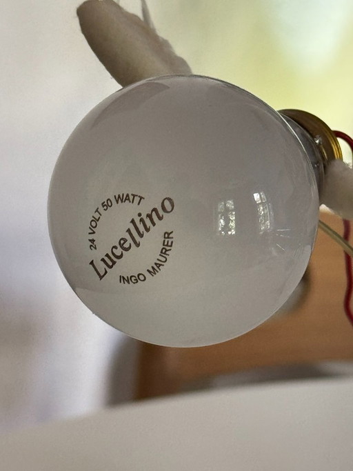 Lampe Ingo Maurer Lucellino avec variateur tactile, 24V – tafellampen, Brass (photo 2 of 8)