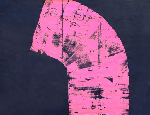 Jürgen Angeler - Pink Chamber