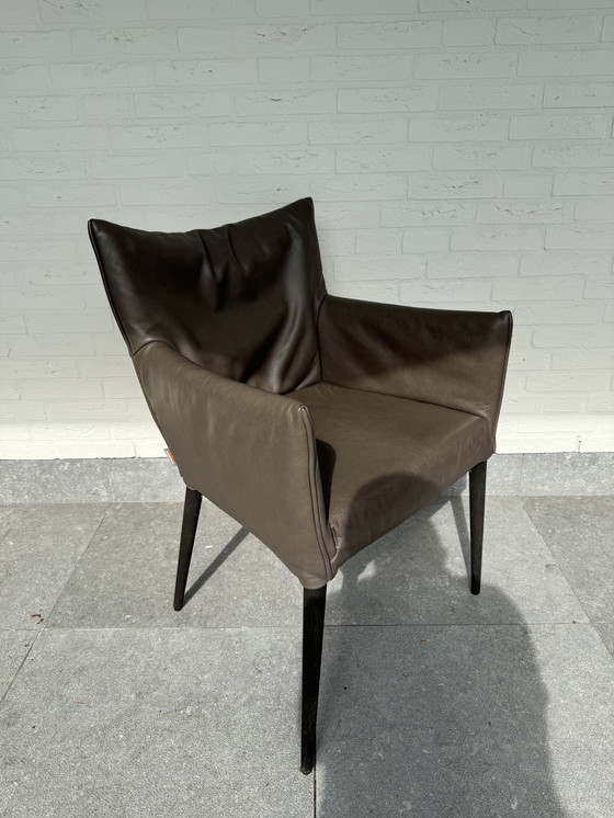 Image 1 of 8x Label Mali dining chair by Gerard Van De Berg