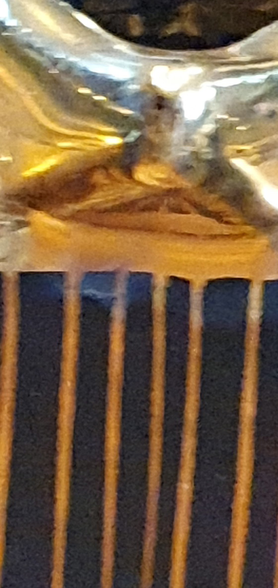 Image 1 of CROZET fine earthenware book-bottle