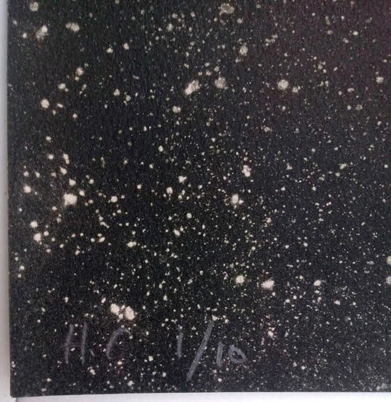 JOAN FONTCUBERTA, Lithographie mit Texturen retuschiert - Größe 95 x 74 cm. – Lithographien & Drucke, Paper (photo 4 of 5)