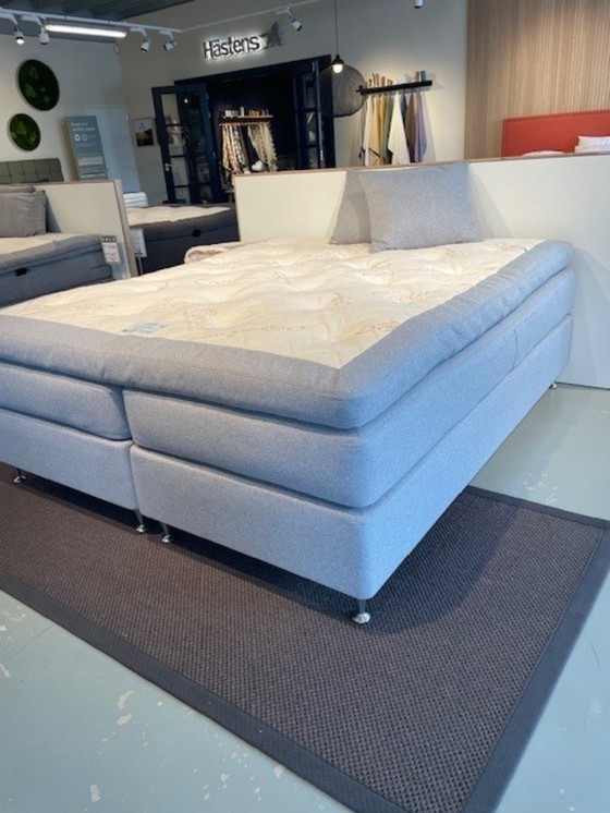 Image 1 of Ecolife - Agave Continental