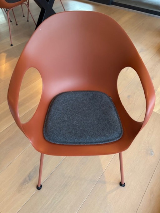 Sedia da pranzo Kristallia Elephant