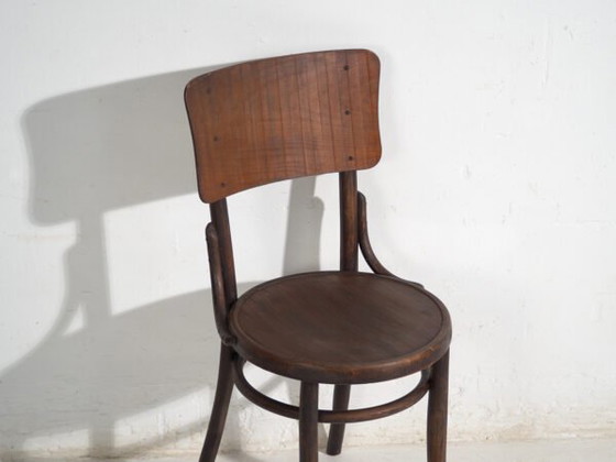 Pair of Thonet style bentwood chairs with curved board back – Central Europe, circa 1920 – Dining chairs (photo 37 of 40)