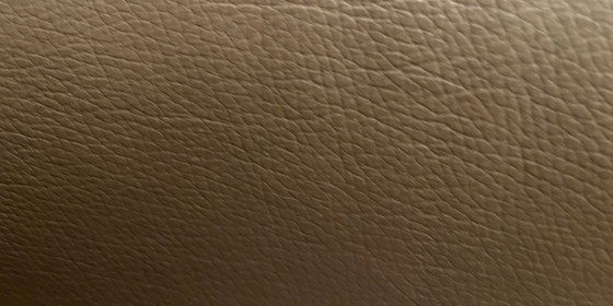 Image 1 of Poltrona girevole Dyyk Coco