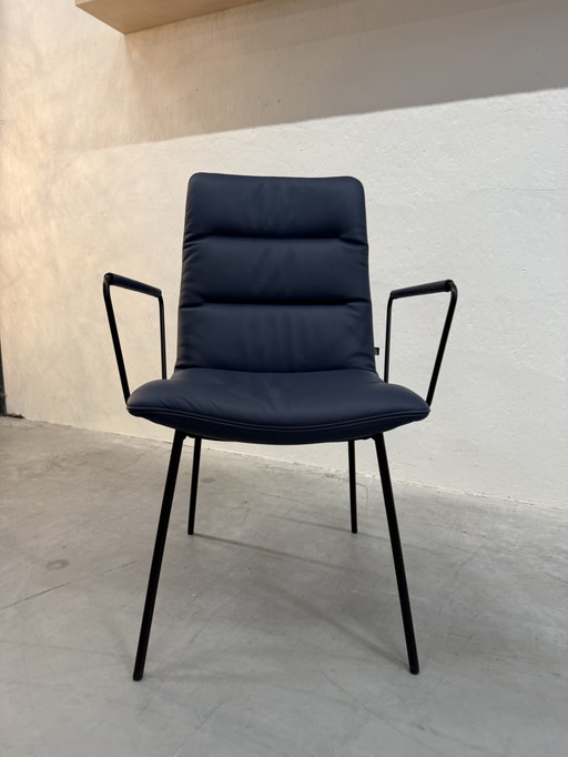 (1) KFF Arva Light Dining Chair with Arms Blue Leather