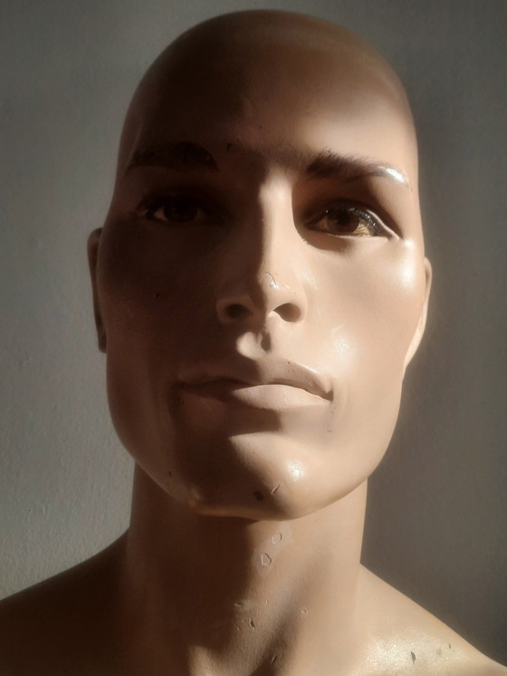 Image 1 of Torso di manichino maschile