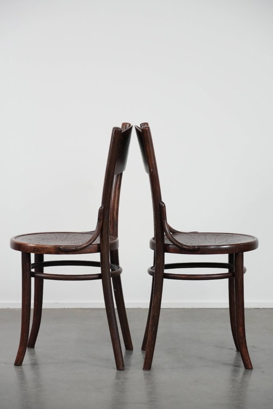 Image 1 of 4 sedie da bistrot Cosmos in legno vintage, dal design intramontabile