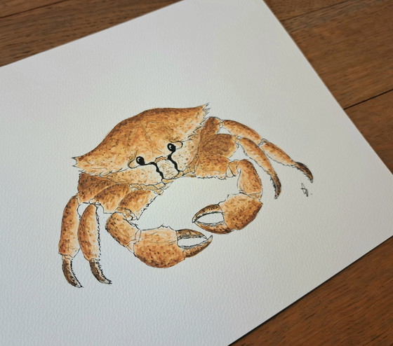 Image 1 of Watercolor painting Crab | Gold-colored frame